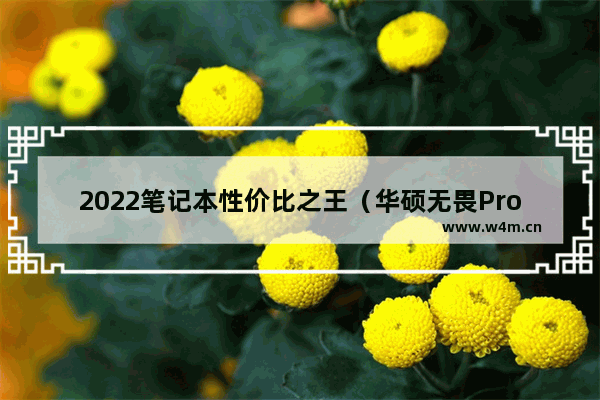 2022笔记本性价比之王（华硕无畏Pro15值不值得买）