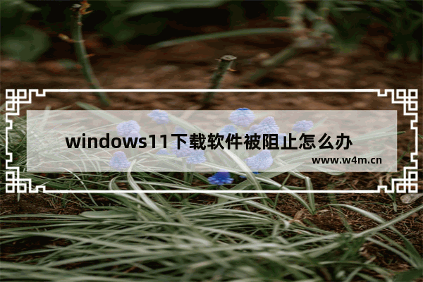 windows11下载软件被阻止怎么办 windows11下载软件被阻止解决办法