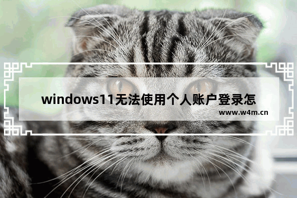 windows11无法使用个人账户登录怎么办 windows11无法使用个人账户登录解决办法