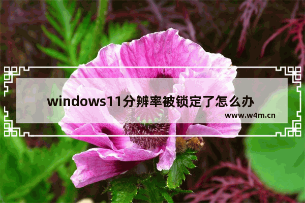 windows11分辨率被锁定了怎么办 windows11分辨率被锁定了解决办法