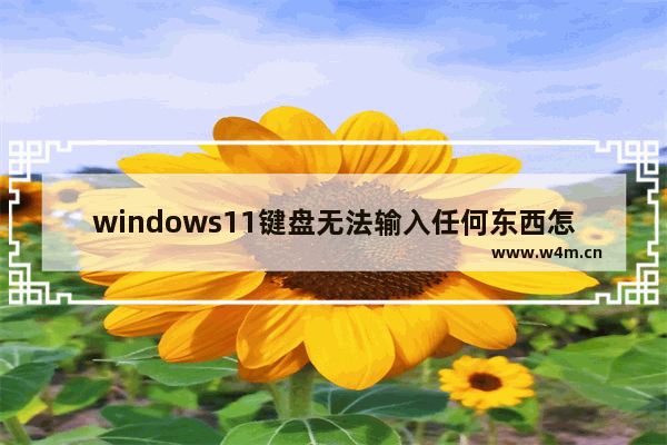 windows11键盘无法输入任何东西怎么办 windows11键盘无法输入任何东西解决办法