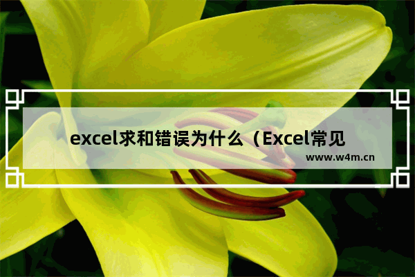 excel求和错误为什么（Excel常见求和问题解答）