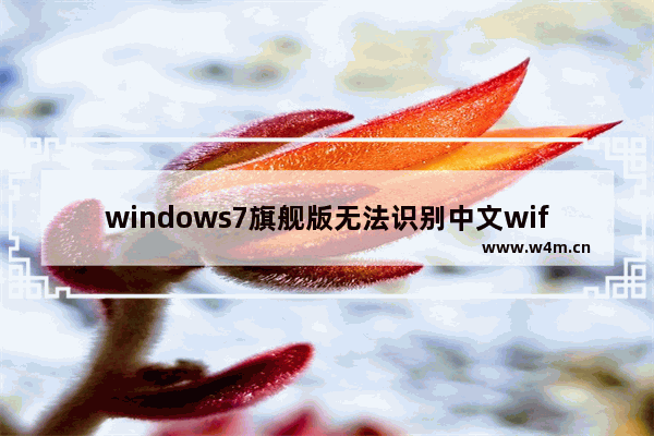 windows7旗舰版无法识别中文wifi怎么办 windows7旗舰版无法识别中文wifi解决方法