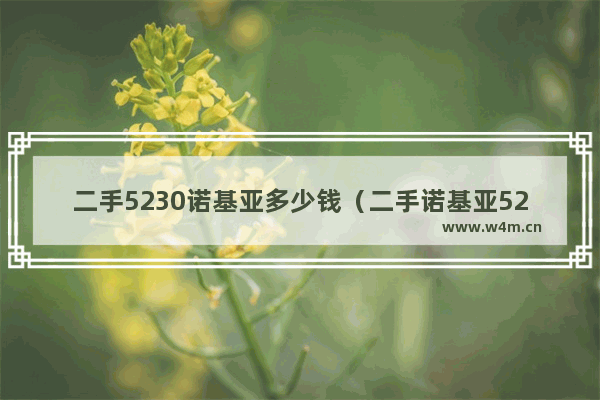 二手5230诺基亚多少钱（二手诺基亚5230值得入手吗）