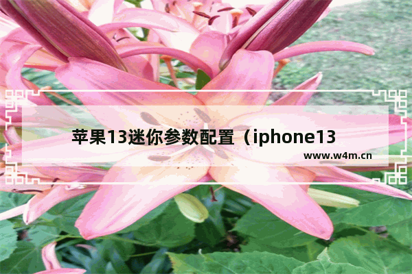 苹果13迷你参数配置（iphone13 mini和iphone12哪个好点）