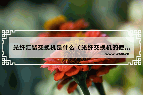 光纤汇聚交换机是什么（光纤交换机的使用方法及应用方案详解）