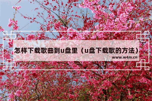 怎样下载歌曲到u盘里（u盘下载歌的方法）