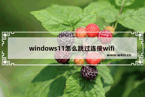 windows11怎么跳过连接wifi windows11跳过连接wifi教程