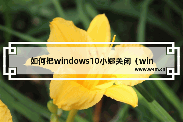 如何把windows10小娜关闭（windows10卸载小娜的方法）