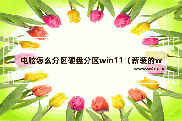 电脑怎么分区硬盘分区win11（新装的win11如何分区）