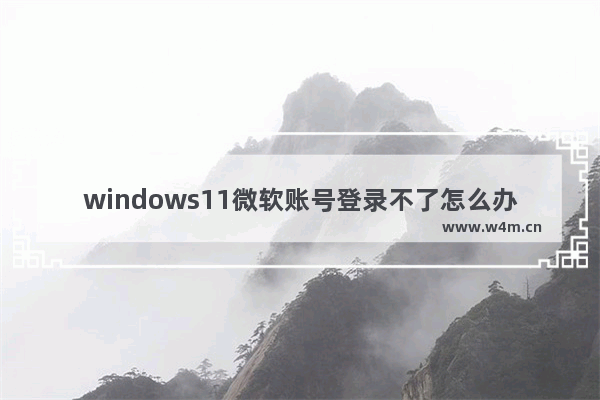 windows11微软账号登录不了怎么办 windows11微软账号登录不了解决办法