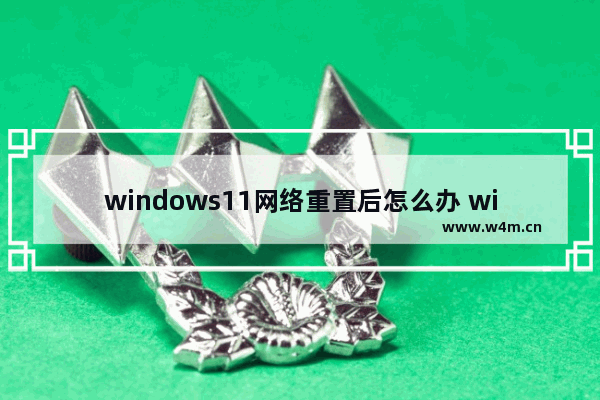 windows11网络重置后怎么办 windows11网络重置后解决办法