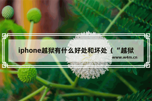 iphone越狱有什么好处和坏处（“越狱”是什么意思）