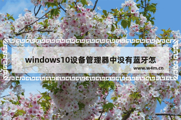 windows10设备管理器中没有蓝牙怎么办 windows10设备管理器中没有蓝牙解决办法