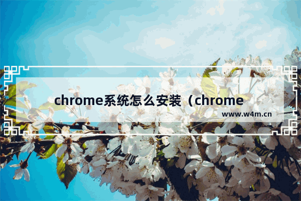 chrome系统怎么安装（chrome os安装注意事项）