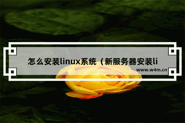 怎么安装linux系统（新服务器安装linux系统步骤）