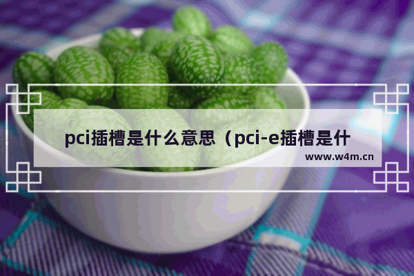 pci插槽是什么意思（pci-e插槽是什么样子）