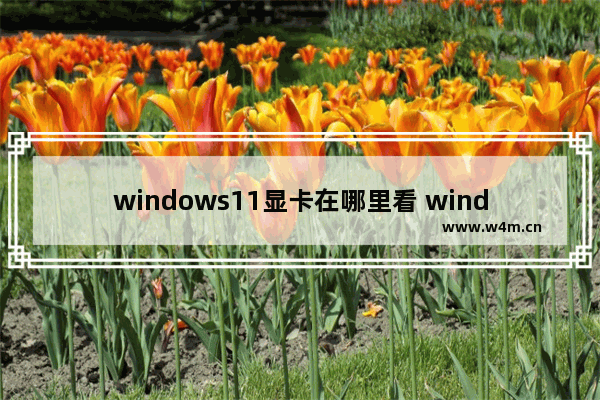 windows11显卡在哪里看 windows11显卡查看方法