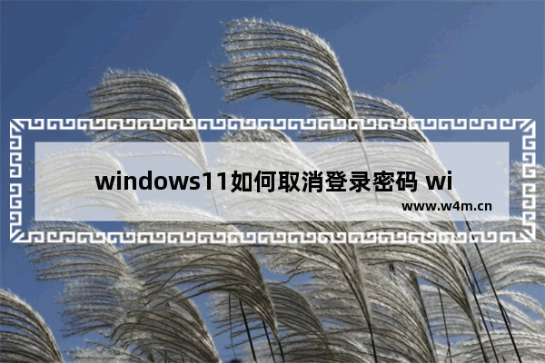 windows11如何取消登录密码 windows11取消登录密码方法