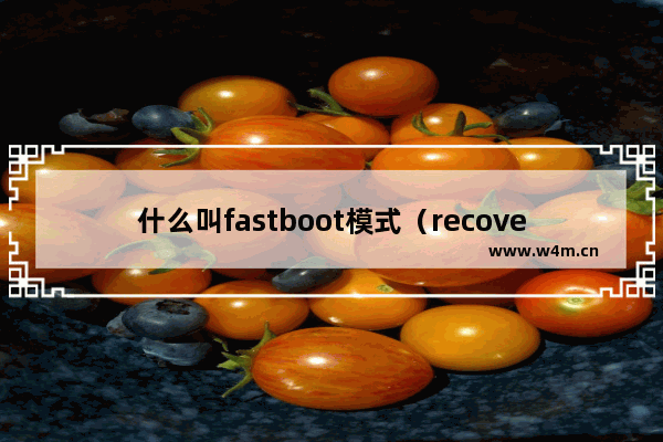 什么叫fastboot模式（recovery和Fastboot是干什么的）