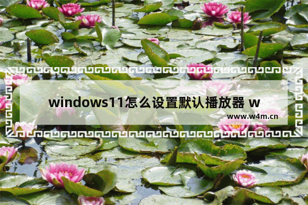 windows11怎么设置默认播放器 windows11设置默认播放器教程