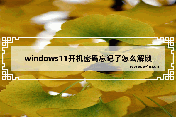 windows11开机密码忘记了怎么解锁 windows11开机密码忘记了解锁教程