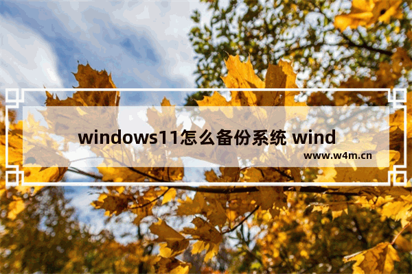 windows11怎么备份系统 windows11备份系统方法