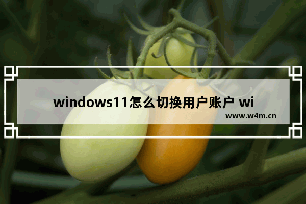 windows11怎么切换用户账户 windows11切换用户账户方法