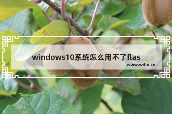 windows10系统怎么用不了flash windows10系统用不了flash解决办法