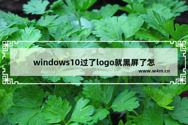 windows10过了logo就黑屏了怎么办 windows10过了logo就黑屏了解决办法