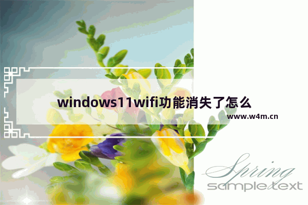 windows11wifi功能消失了怎么办 windows11wifi功能消失了解决办法