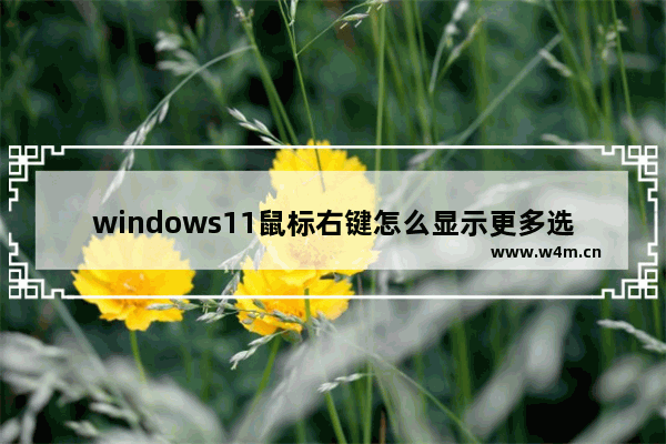 windows11鼠标右键怎么显示更多选项 windows11鼠标右键显示更多选项方法