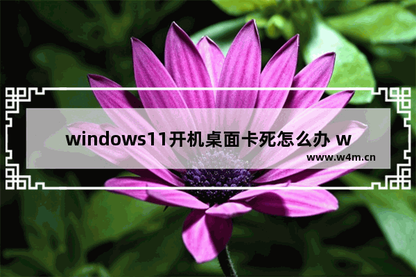 windows11开机桌面卡死怎么办 windows11开机桌面卡死解决办法