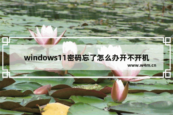 windows11密码忘了怎么办开不开机 windows11密码忘开不开机解决办法