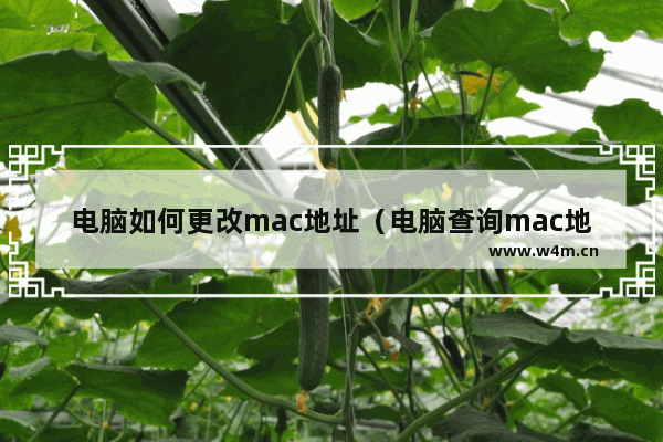 电脑如何更改mac地址（电脑查询mac地址方法）