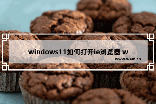 windows11如何打开ie浏览器 windows11打开ie浏览器方法