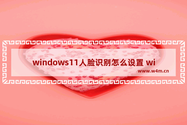 windows11人脸识别怎么设置 windows11人脸识别设置方法