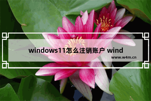 windows11怎么注销账户 windows11注销账户方法