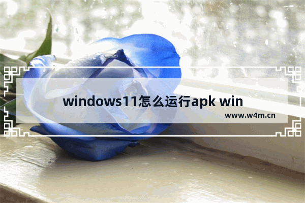 windows11怎么运行apk windows11运行apk教程