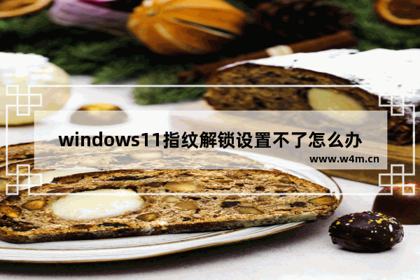 windows11指纹解锁设置不了怎么办 windows11指纹解锁设置不了解决办法