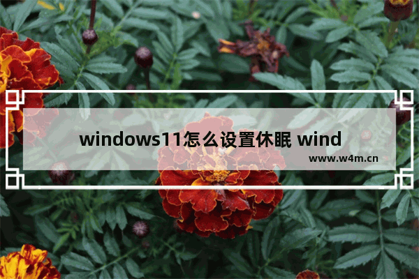 windows11怎么设置休眠 windows11设置休眠教程