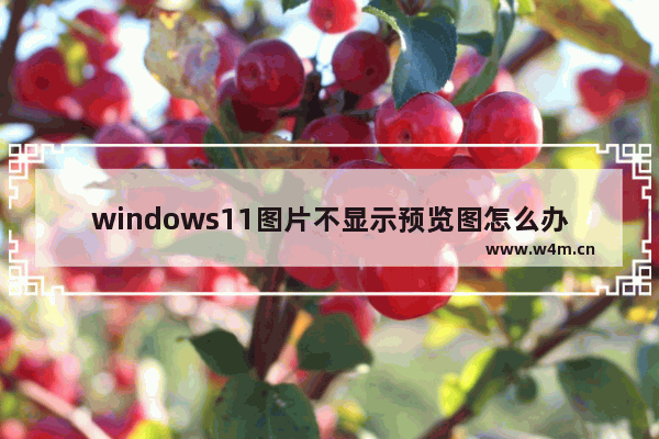 windows11图片不显示预览图怎么办 windows11图片不显示预览图解决办法