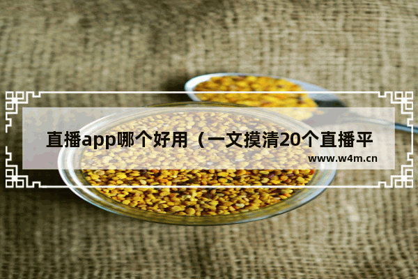 直播app哪个好用（一文摸清20个直播平台）