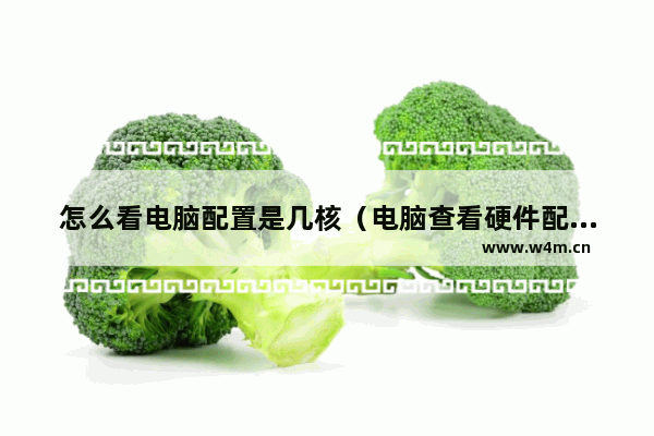 怎么看电脑配置是几核（电脑查看硬件配置的方法）