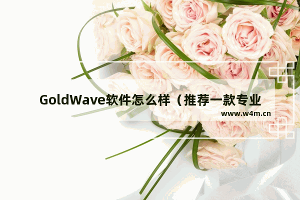 GoldWave软件怎么样（推荐一款专业数字音频处理软件）