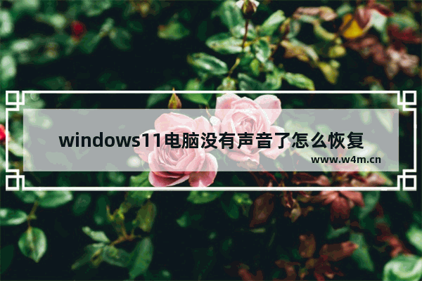 windows11电脑没有声音了怎么恢复 windows11电脑没有声音了恢复方法