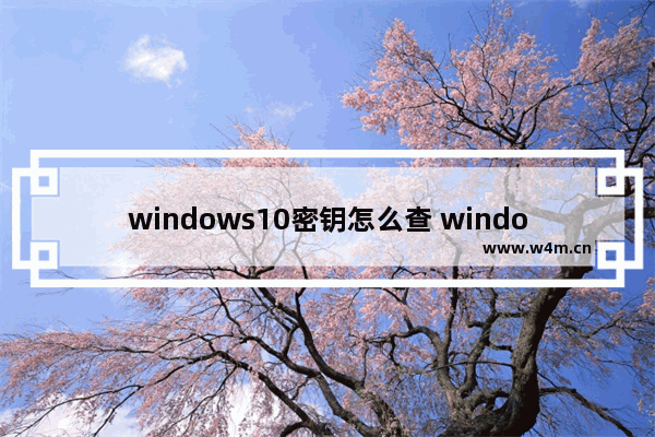 windows10密钥怎么查 windows10密钥查找教程