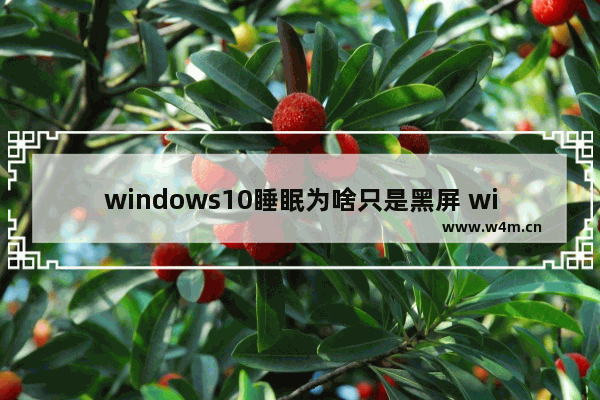 windows10睡眠为啥只是黑屏 windows10睡眠只是黑屏解决办法