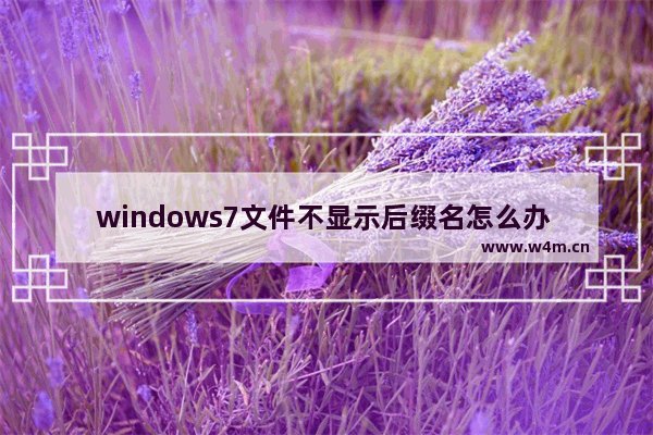 windows7文件不显示后缀名怎么办 windows7文件不显示后缀名解决方法