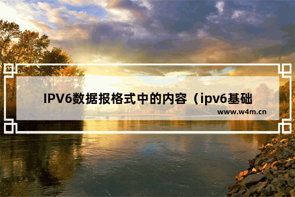 IPV6数据报格式中的内容（ipv6基础知识入门）